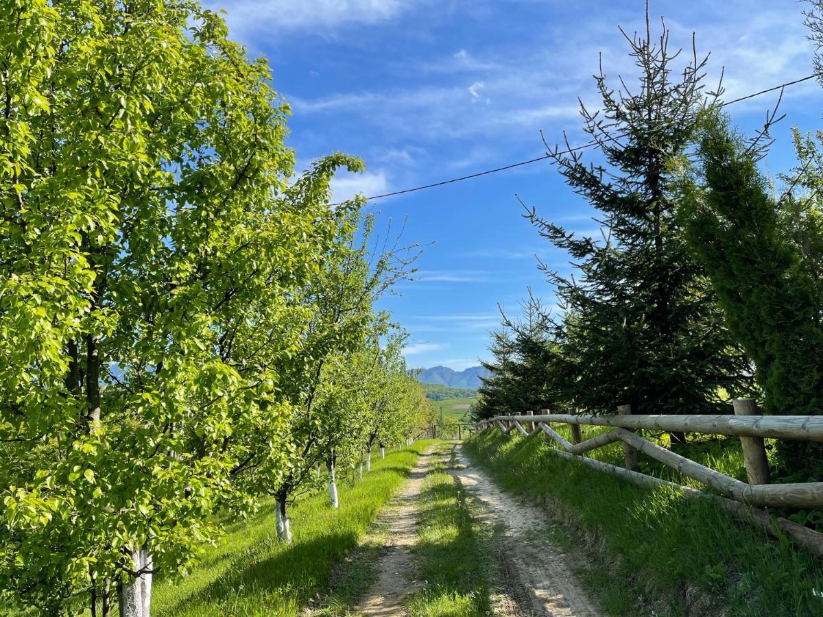 Cabana Dintre Fagi Poiana Mărului Exterior foto