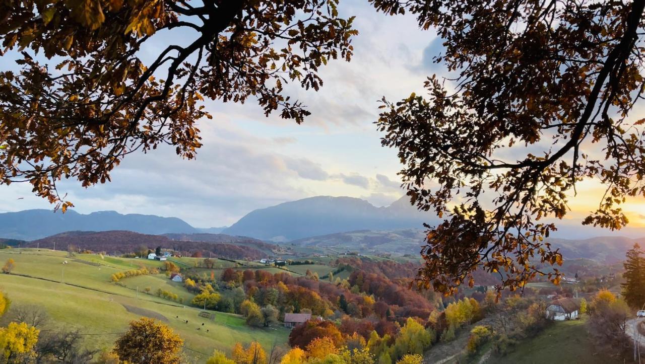 Cabana Dintre Fagi Poiana Mărului Exterior foto