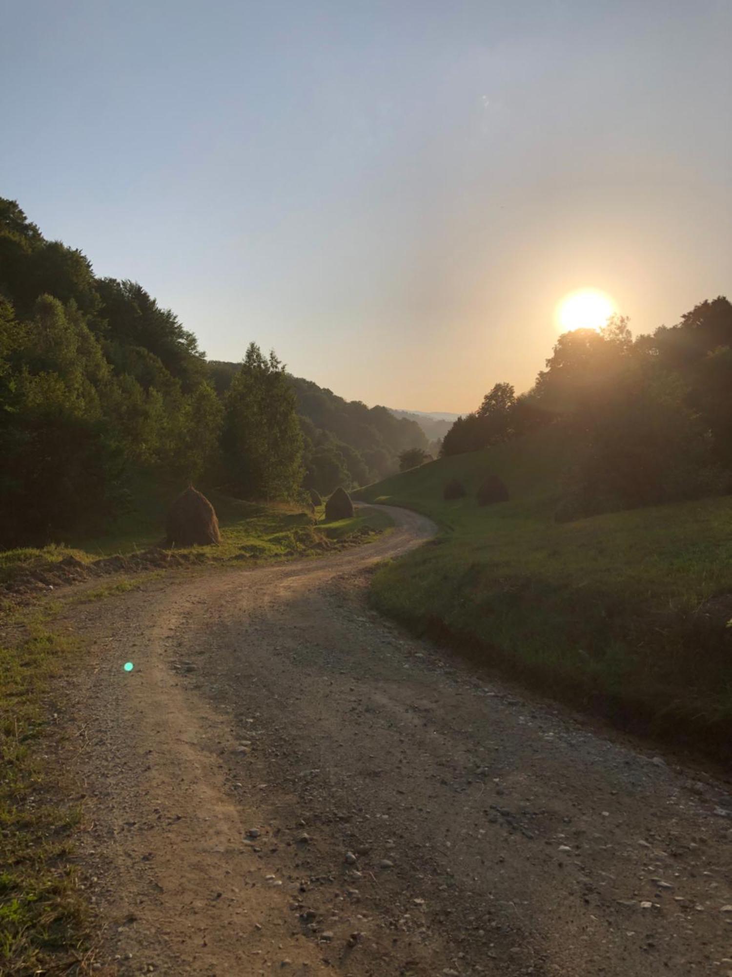 Cabana Dintre Fagi Poiana Mărului Exterior foto