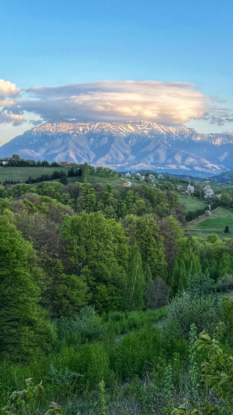 Cabana Dintre Fagi Poiana Mărului Exterior foto