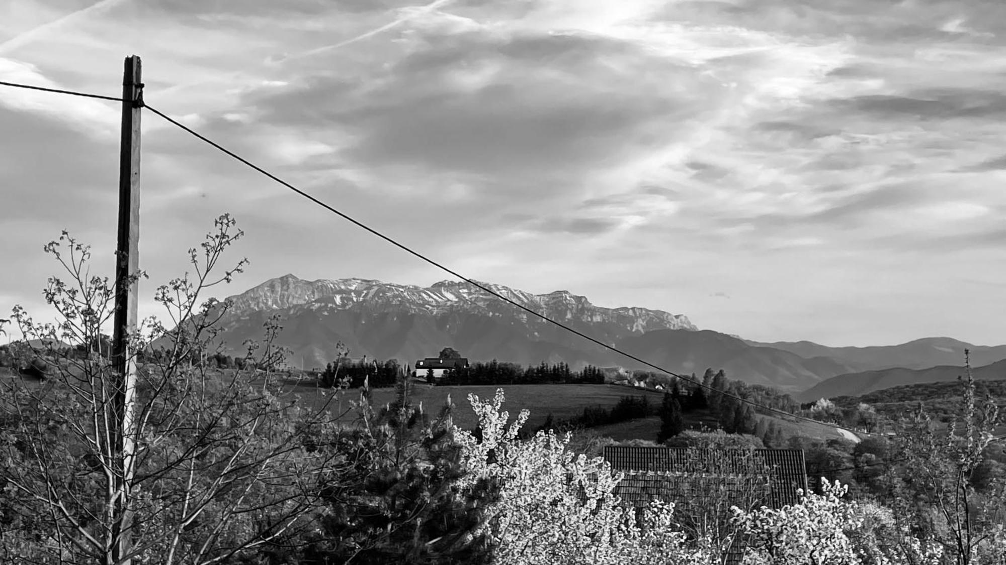 Cabana Dintre Fagi Poiana Mărului Exterior foto